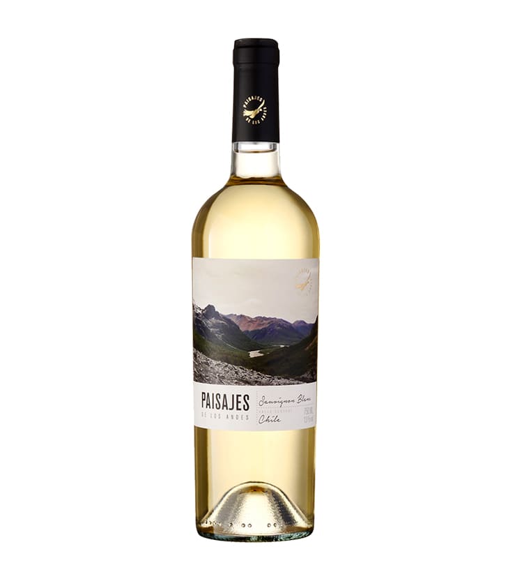 Paisajes de los Andres Sauvignon Blanc 2021 - Paisajes de los Andes