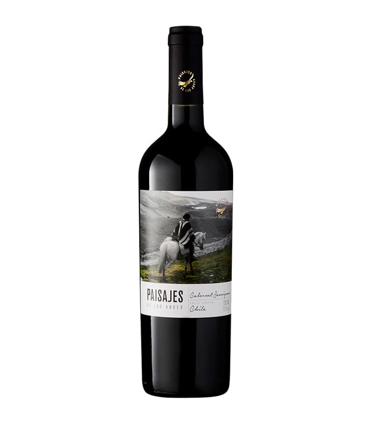 Paisajes de los Andes Cabernet Sauvignon 2020 - Paisajes de los Andes