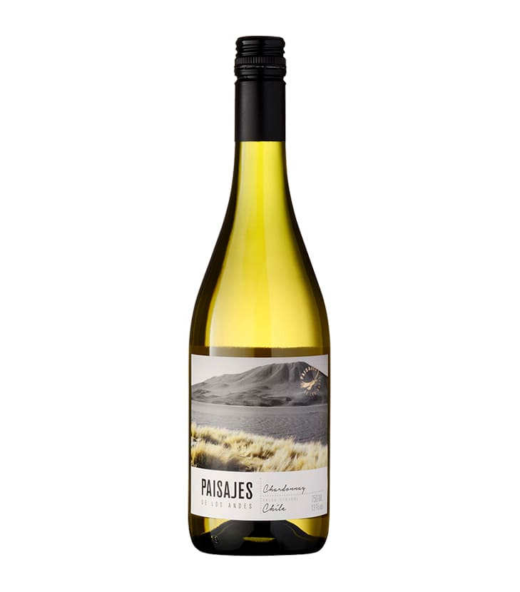 Paisajes de los Andes Chardonnay 2020 - Paisajes de los Andes